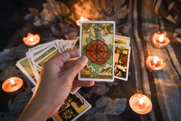 tarot cards Olean